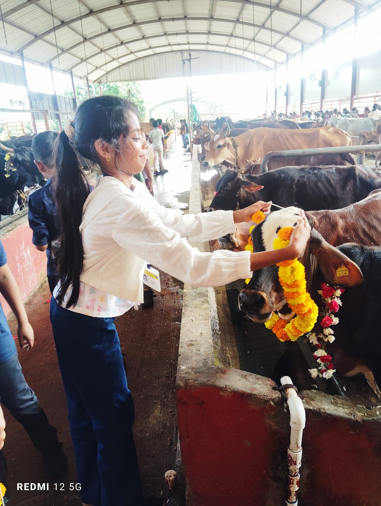 Compassion: Supporting Our Gaushala!